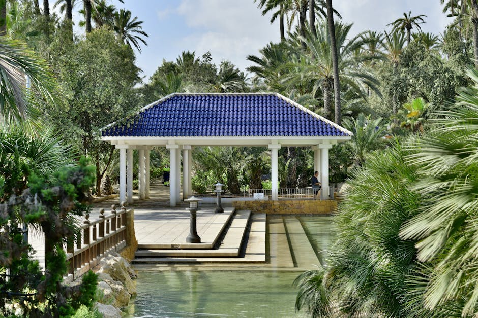 Курсы программирования и UI/UX дизайна