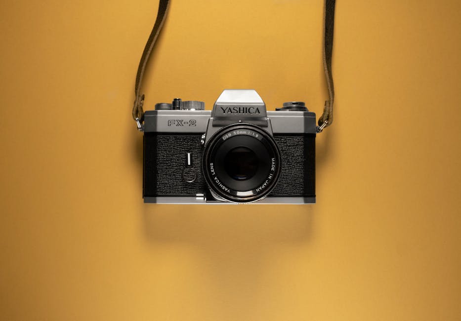 Курсы программирования и UI/UX дизайна